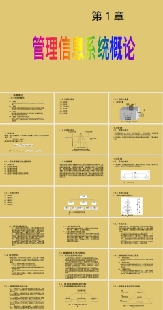 第一章管理信息系统PPT课件教学课件.pptx