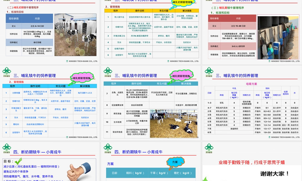 犊牛饲养管理PPT课件.ppt