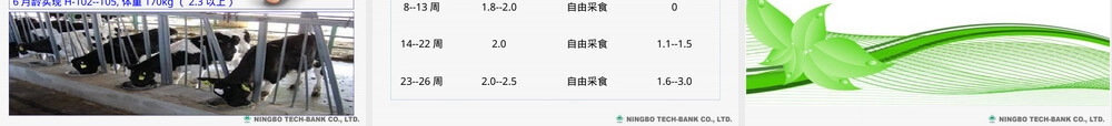 犊牛饲养管理PPT课件.ppt