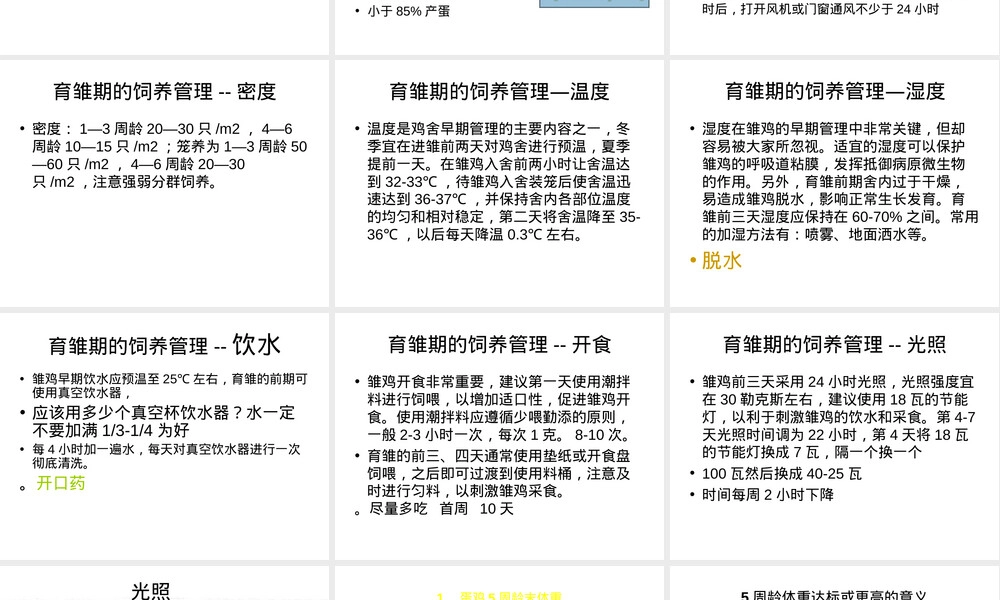 蛋鸡的饲养管理PPT课件.ppt