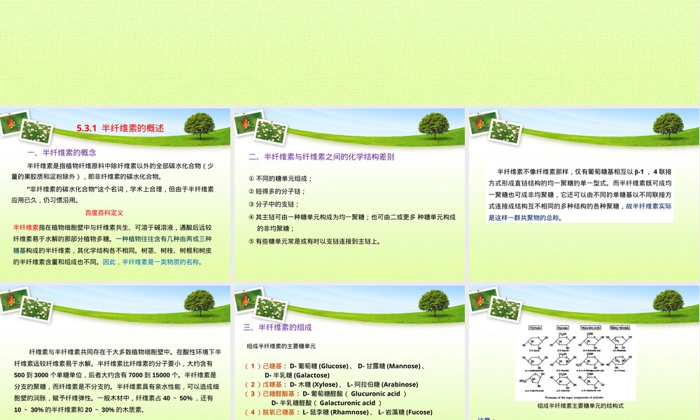 第五章天然高分子材料半纤维素教学PPT课件.pptx