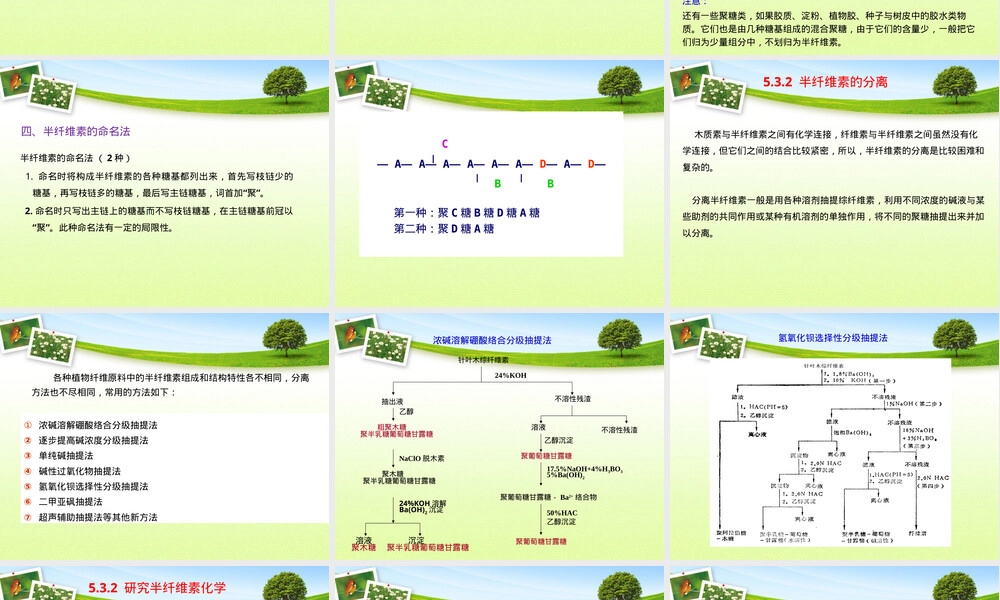 第五章天然高分子材料半纤维素教学PPT课件.pptx