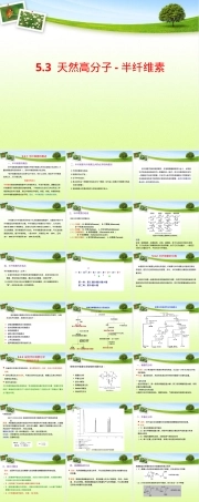 第五章天然高分子材料半纤维素教学PPT课件.pptx