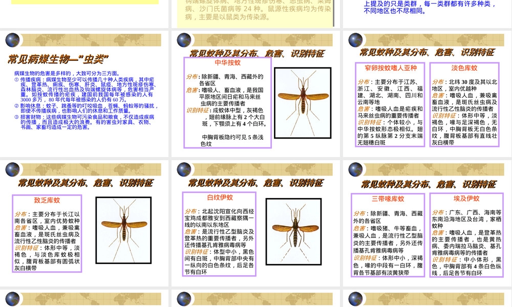 病媒生物及其防治PPT课件.ppt