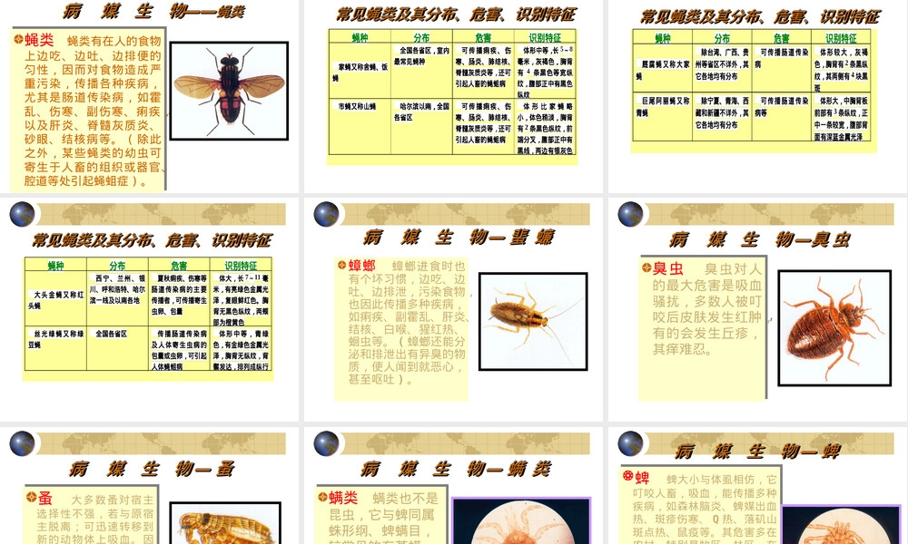 病媒生物及其防治PPT课件.ppt