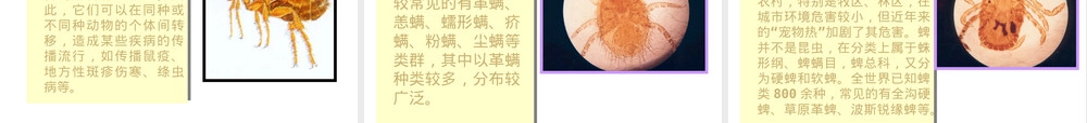 病媒生物及其防治PPT课件.ppt