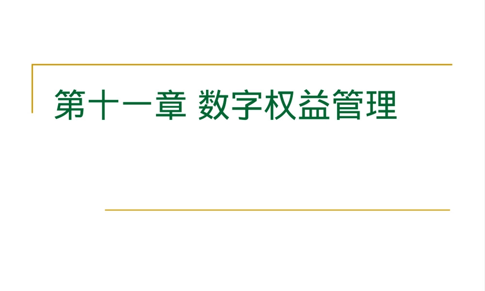 第十一章数字权益管理教学PPT课件.ppt