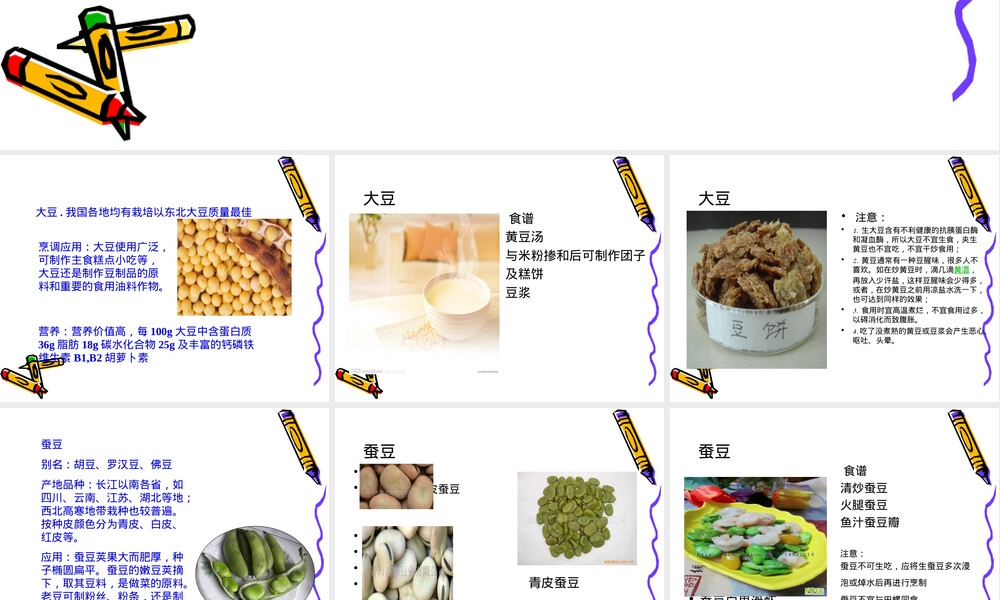豆类粮食及其制品教学PPT课件.ppt