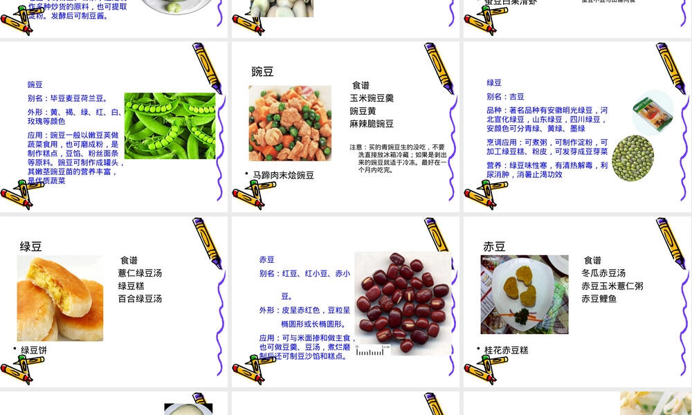 豆类粮食及其制品教学PPT课件.ppt
