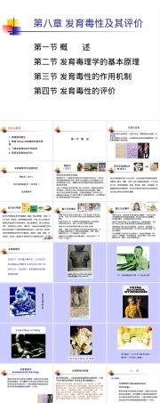 第八章发育毒性及其评价PPT课件.ppt