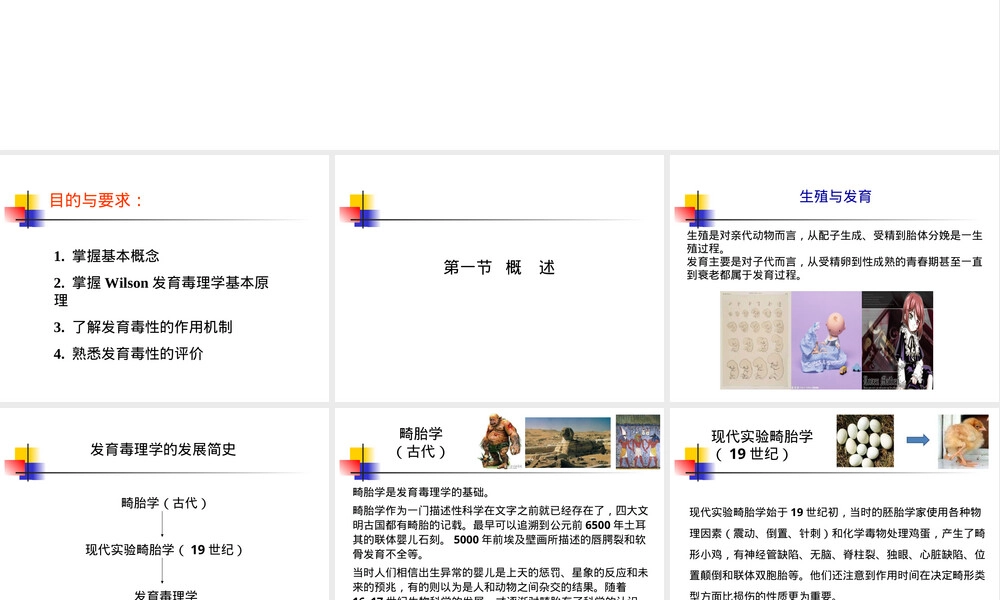 第八章发育毒性及其评价PPT课件.ppt