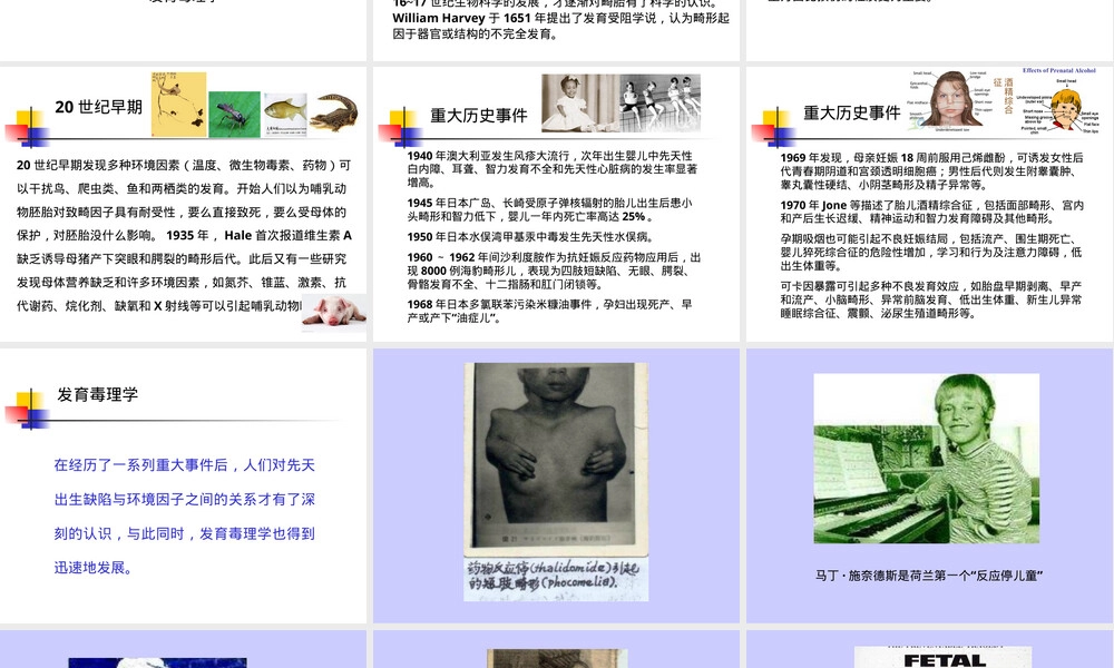 第八章发育毒性及其评价PPT课件.ppt