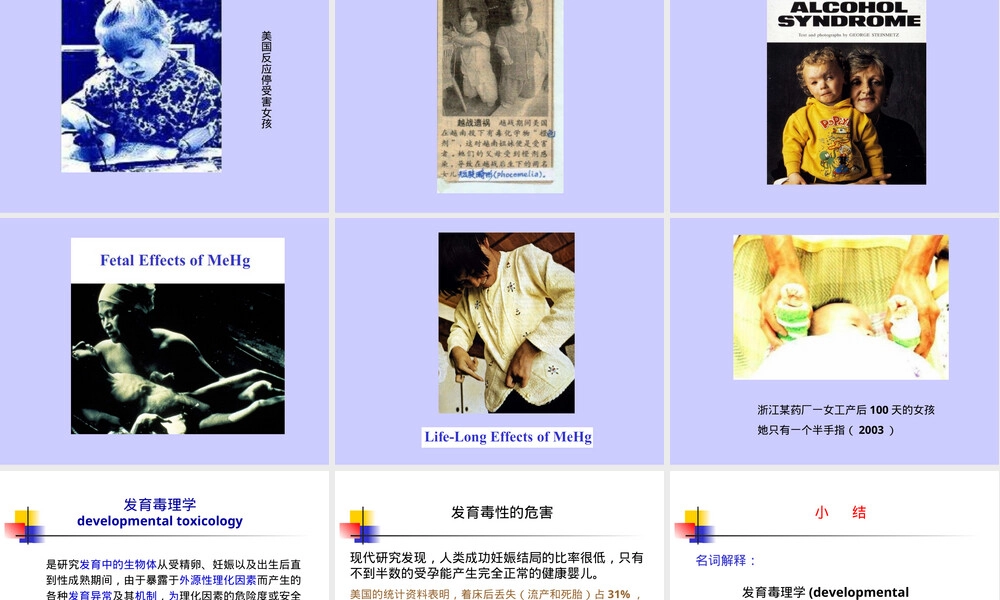 第八章发育毒性及其评价PPT课件.ppt