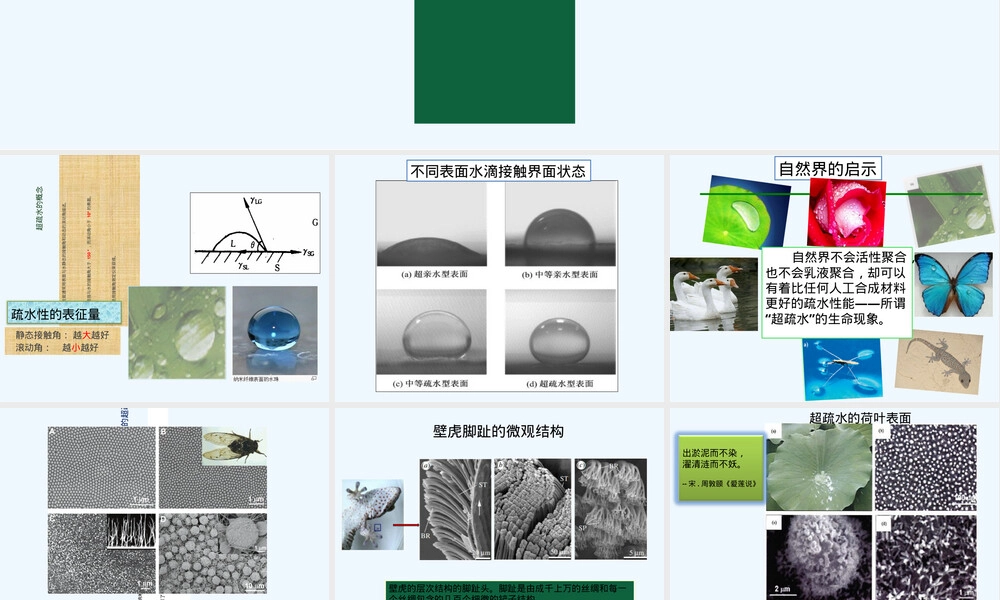 超疏水现象及应用PPT课件.ppt