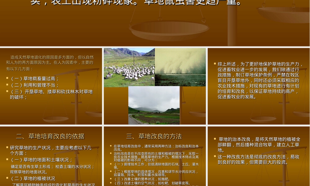 草地经营与管理PPT课件.ppt