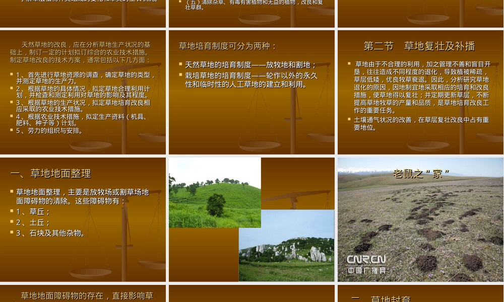 草地经营与管理PPT课件.ppt
