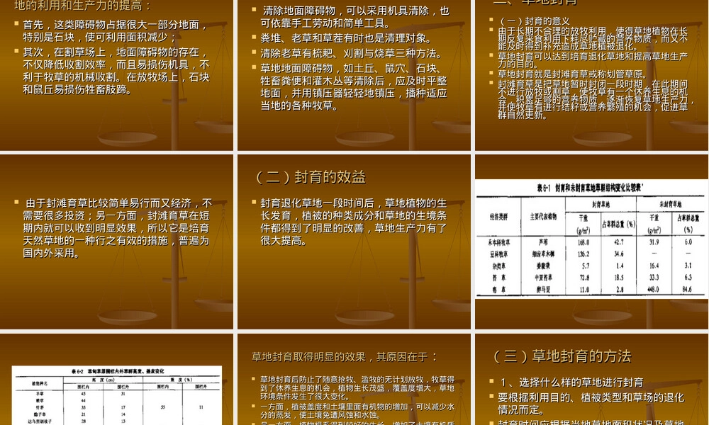 草地经营与管理PPT课件.ppt