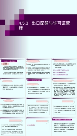 出口配额与许可证管理PPT课件.ppt