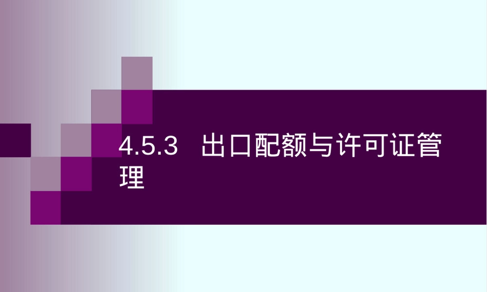 出口配额与许可证管理PPT课件.ppt