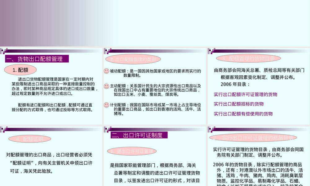出口配额与许可证管理PPT课件.ppt