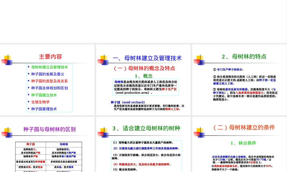 林木育种学第七章种子园教学PPT课件.ppt