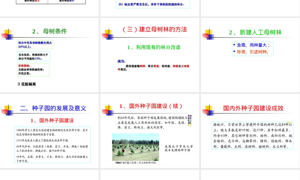 林木育种学第七章种子园教学PPT课件.ppt