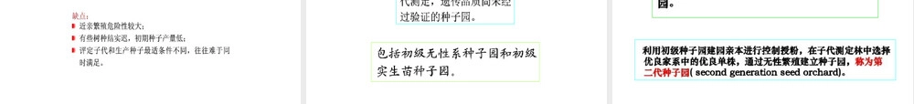 林木育种学第七章种子园教学PPT课件.ppt