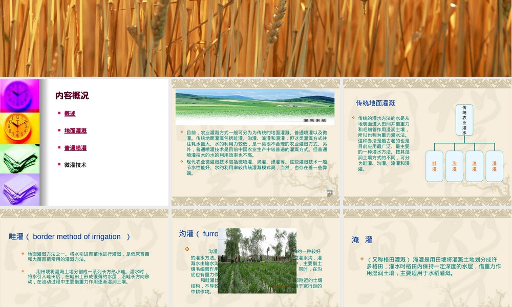 农业灌溉PPT课件教学版.ppt