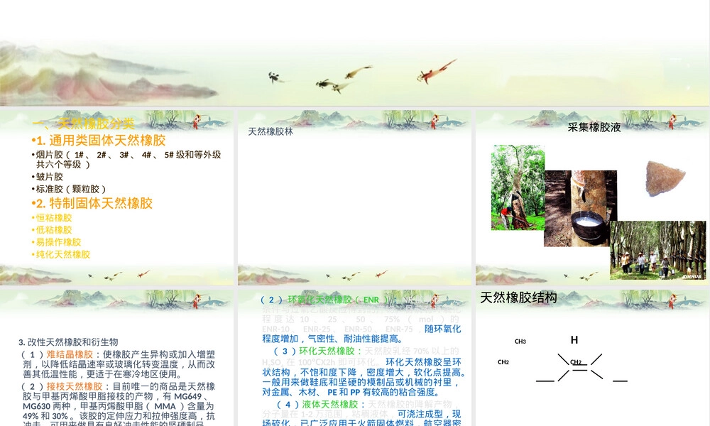 高分子材料天然橡胶教学PPT课件.pptx