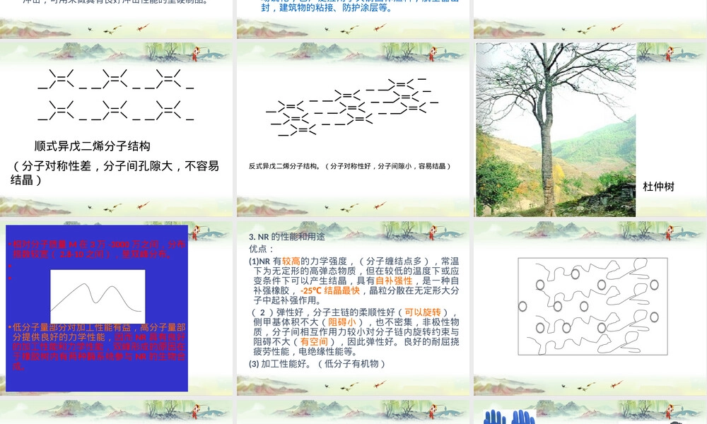 高分子材料天然橡胶教学PPT课件.pptx