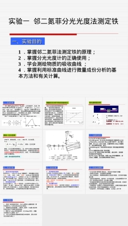 邻二氮菲分光光度法测定铁含量教学PPT课件.ppt