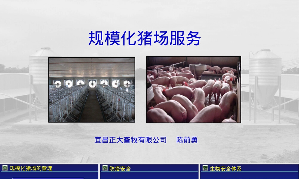规模化猪场管理PPT课件.ppt