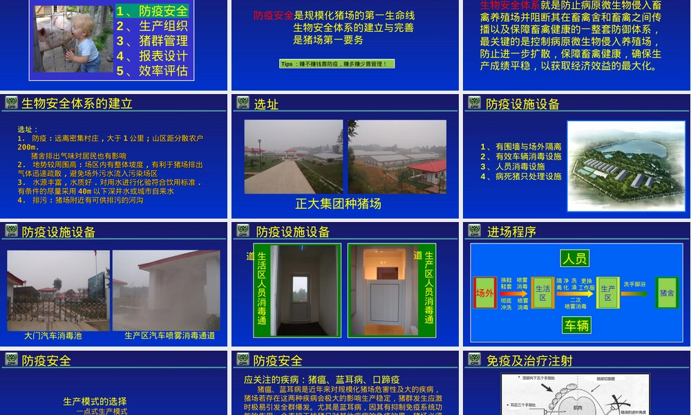 规模化猪场管理PPT课件.ppt