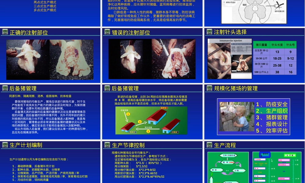 规模化猪场管理PPT课件.ppt