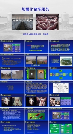 规模化猪场管理PPT课件.ppt