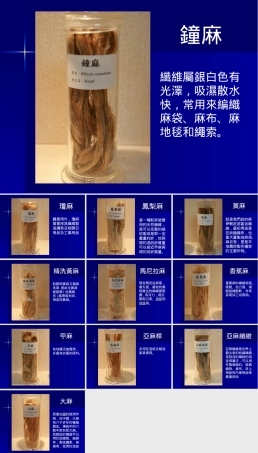 各种常见麻类及其应用介绍PPT课件.ppt