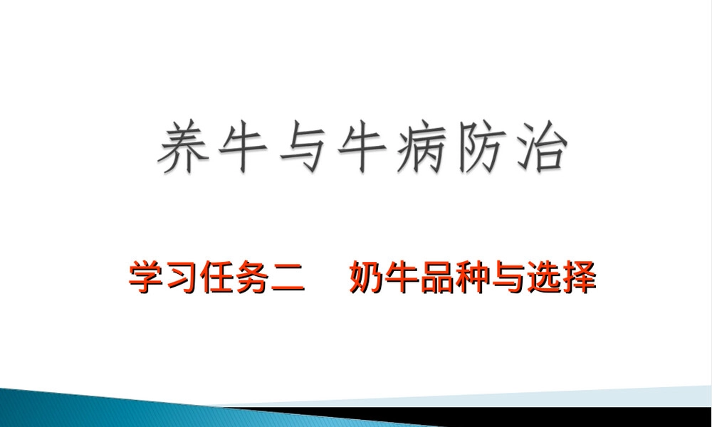 奶牛品种选择与饲养管理教学PPT课件.ppt