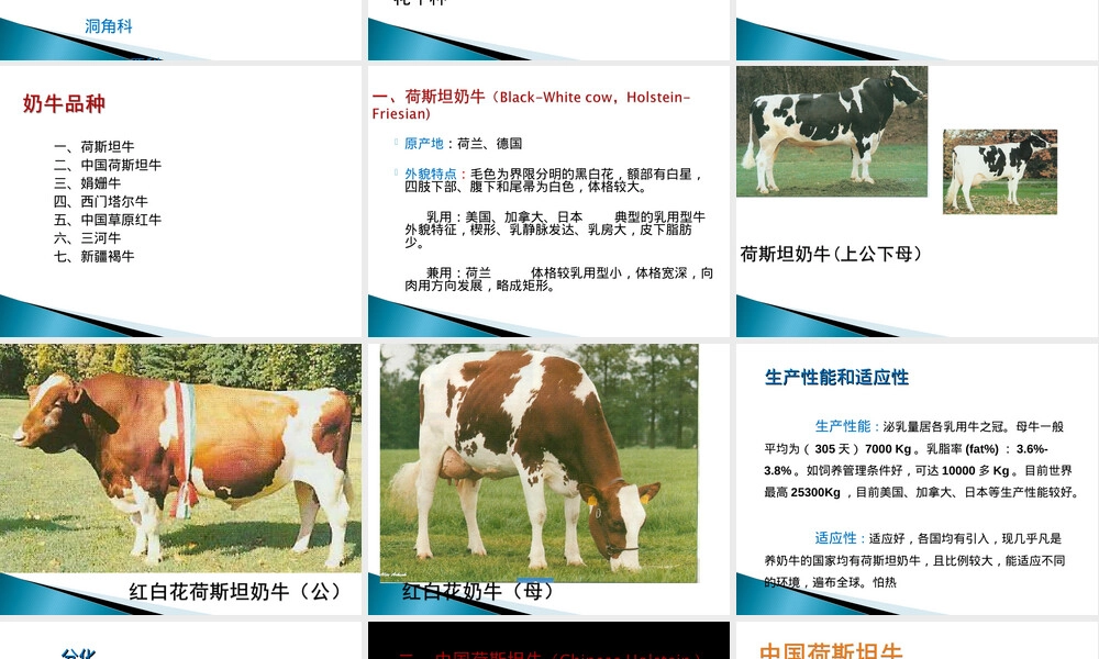 奶牛品种选择与饲养管理教学PPT课件.ppt