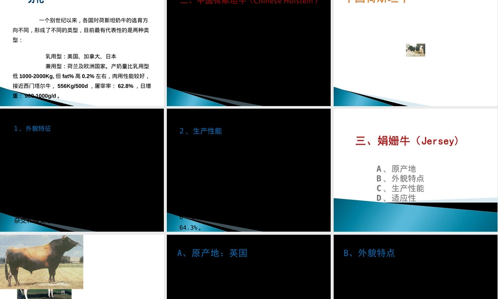 奶牛品种选择与饲养管理教学PPT课件.ppt