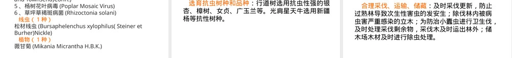 害虫管理策略与技术方法PPT课件.pptx
