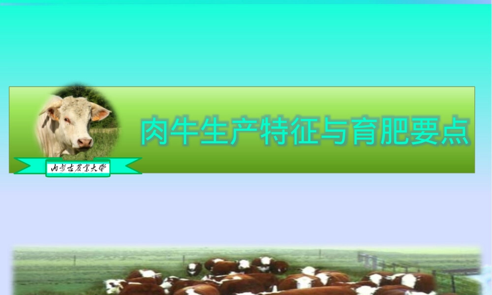 牛饲养管理技术培训PPT课件.pptx