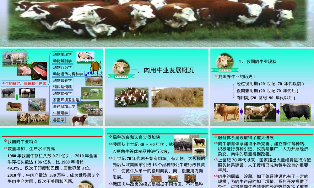 牛饲养管理技术培训PPT课件.pptx