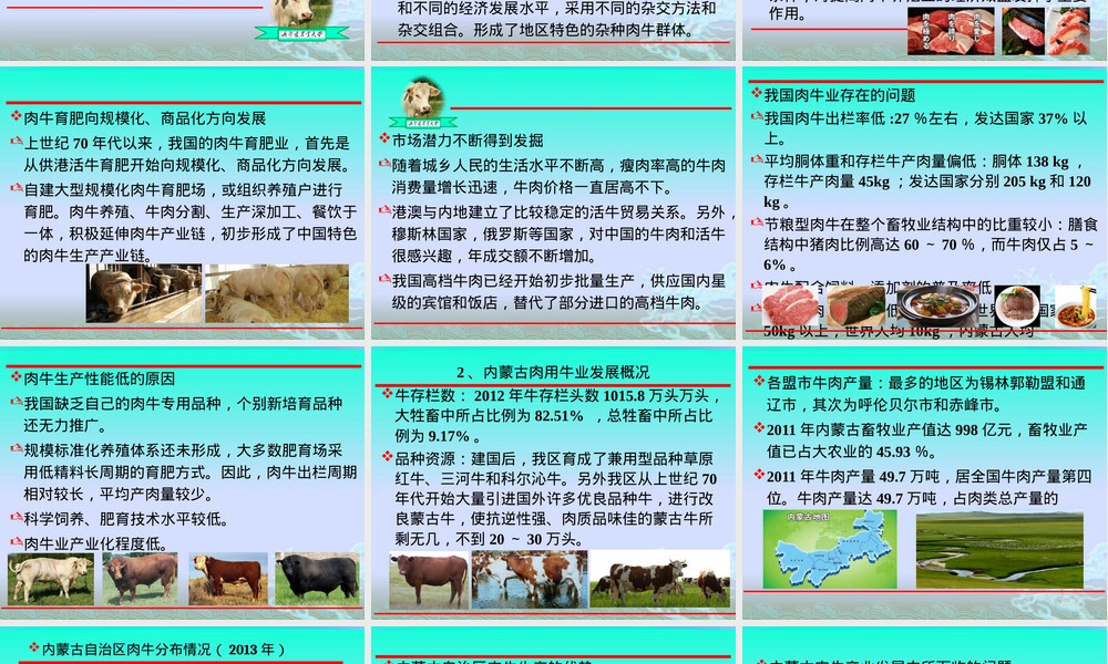 牛饲养管理技术培训PPT课件.pptx