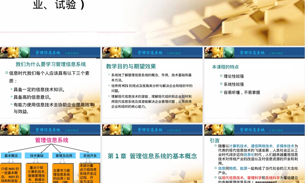 管理信息系统基础概念教学PPT课件.pptx