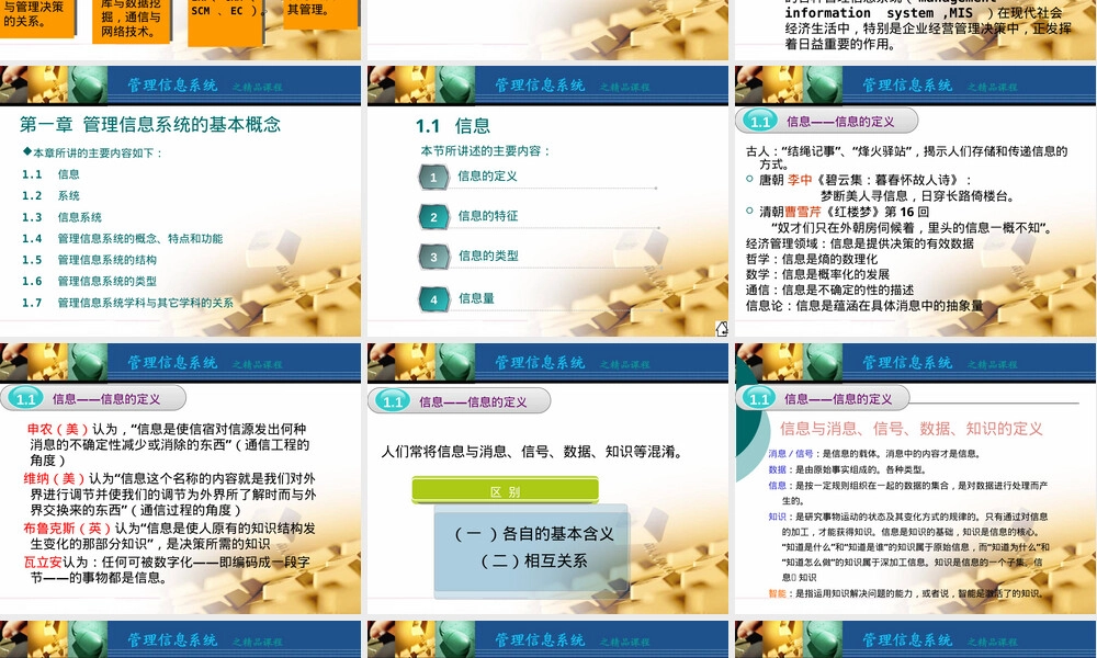 管理信息系统基础概念教学PPT课件.pptx