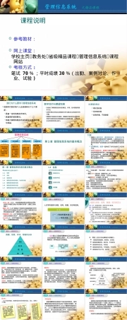 管理信息系统基础概念教学PPT课件.pptx