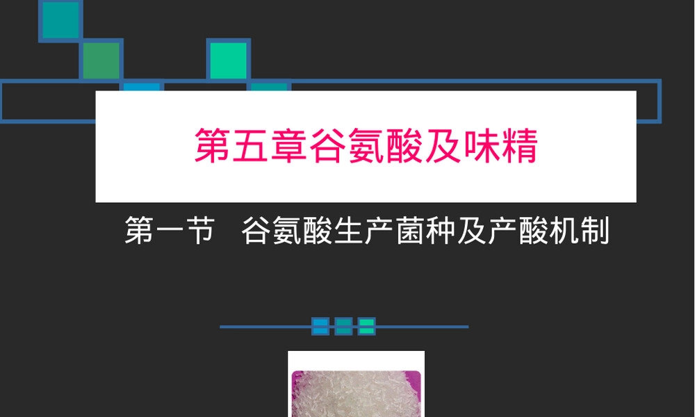 谷氨酸与味精化学性质教学PPT课件.ppt