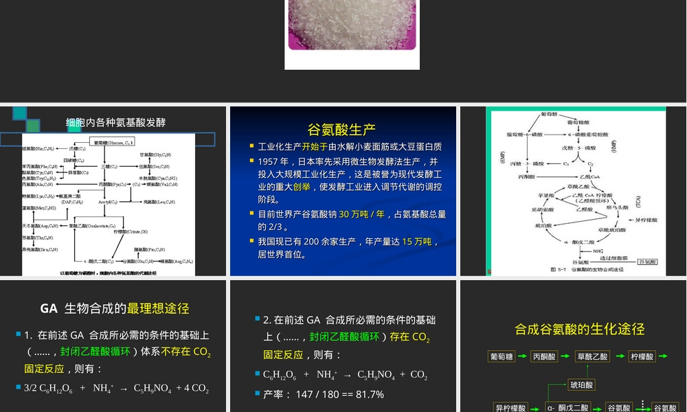 谷氨酸与味精化学性质教学PPT课件.ppt