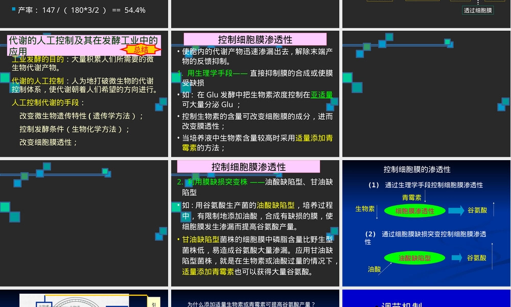 谷氨酸与味精化学性质教学PPT课件.ppt