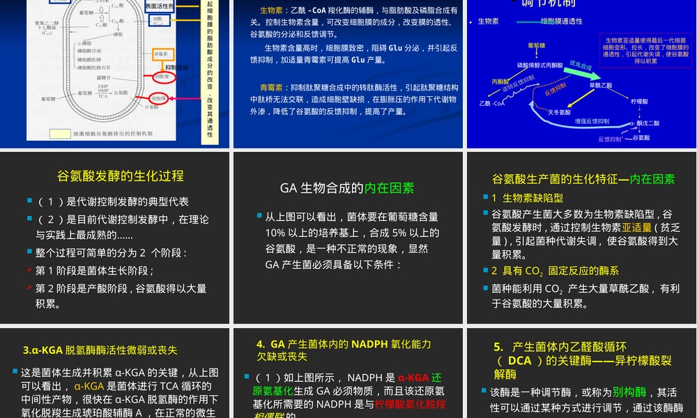谷氨酸与味精化学性质教学PPT课件.ppt